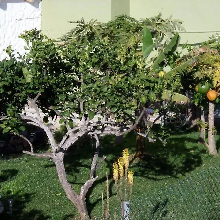 Immaculate 3-bed House Garden In Santa Catalina