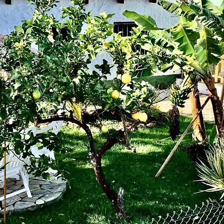 Immaculate 3-bed House Garden In بيت للعطل *