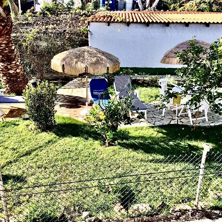 Immaculate 3-bed House Garden In